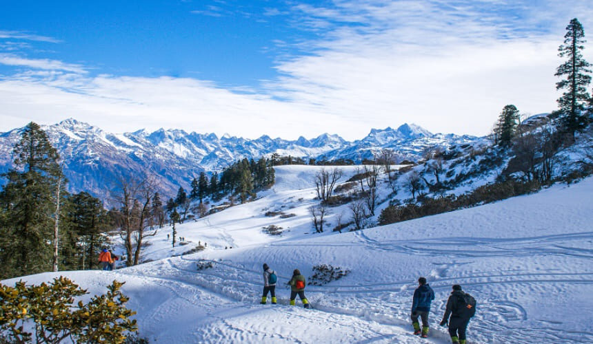 Lovely Tour Package for Kasauli, Shimla, and Manali