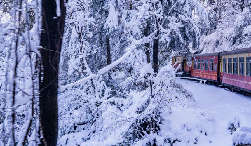 4 Nights/5 Days Shimla Manali + Toy Train Ride