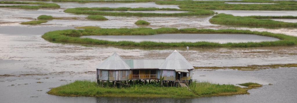 Keibul Lamjao National Park _1