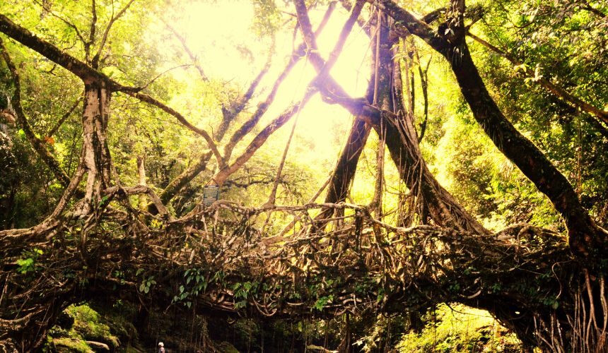 Tour Package: Shillong Cherrapunji Meghalaya – Garo Valley Excursion