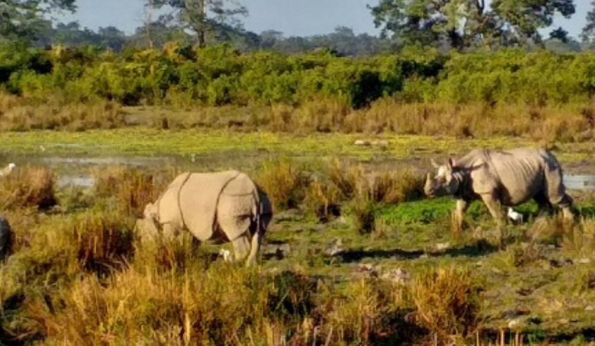 River Riding and Jungle Safari: Enchanting Meghalaya and Assam