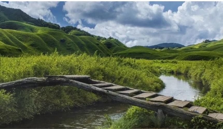 Voyage of Nagaland Tribe
