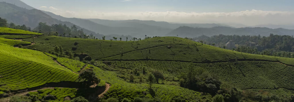 Kerala-familytour2