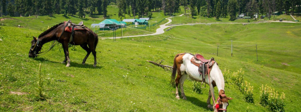 gulmarg2