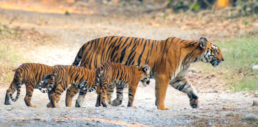 Uttarakhand Family Tour Package