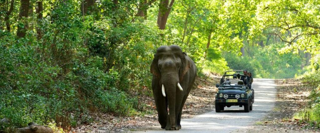 jim-corbett