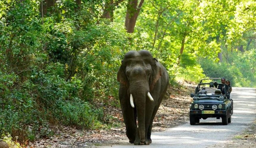 Uttarakhand with Nainital & Jim Corbett
