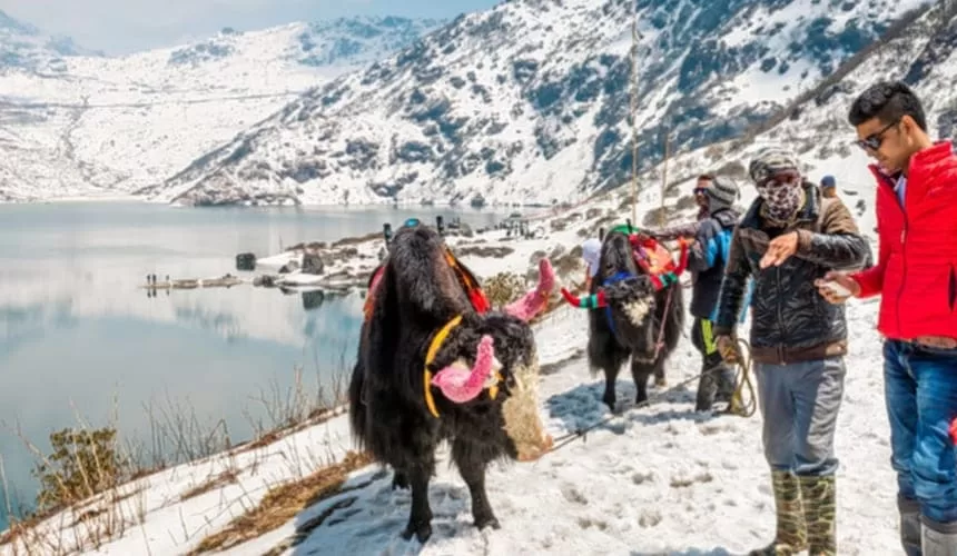 Darjeeling Sikkim Tour Package
