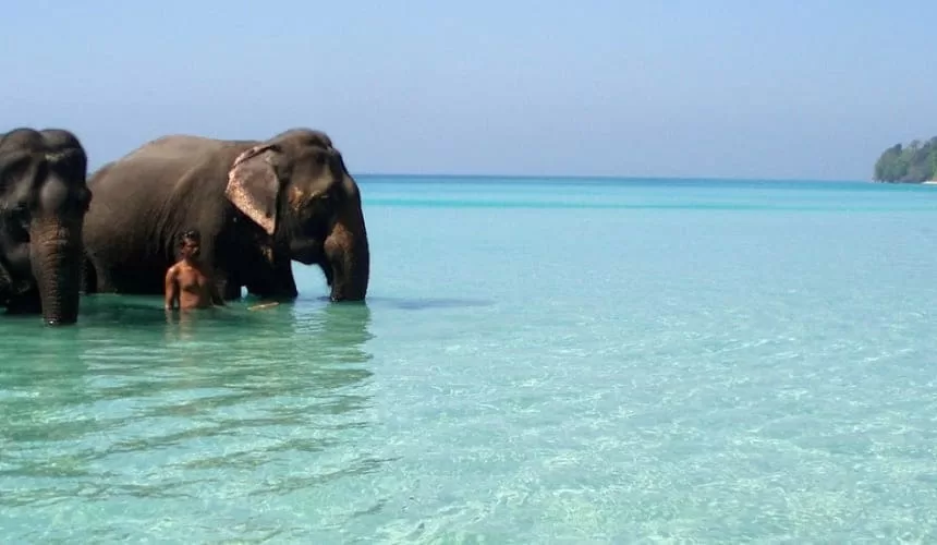 Visit to Andaman with Jolly Buoy Island