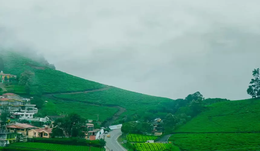 Ooty and Kodaikanal Honeymoon Tour Package