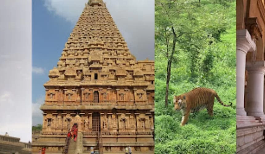 Exploring Tamil Nadu with Rameshwaram, Kanyakumari and More