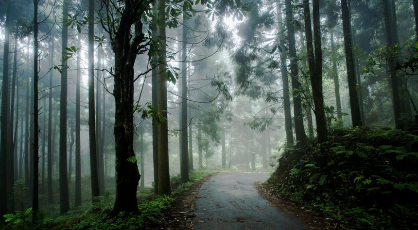 A Trek Through Darjeeling’s Sacred Landscapes: A Trekker’s Spiritual Journey