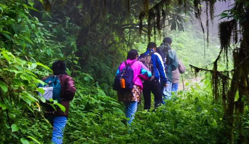 Barsey Rhododendron Trekking Tour Package