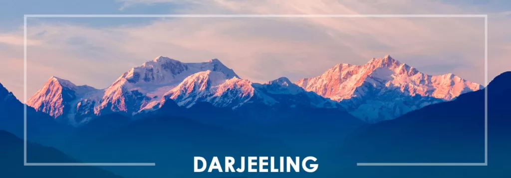 Darjeeling F8