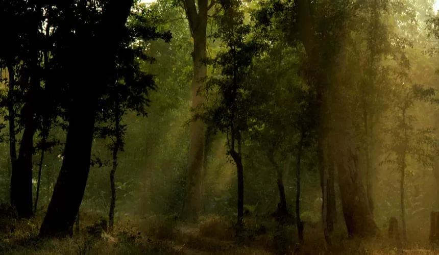 Jharkhand Tour Package with Triplou