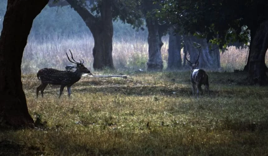 Jharkhand, Hazaribagh, Deoghar Tour Package