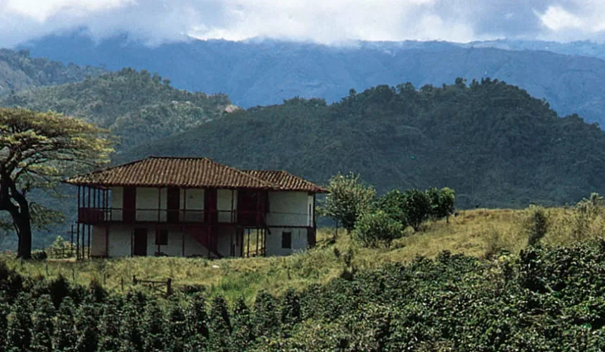 Tranquil Escape to Coorg, Chikmagalur & Mysore