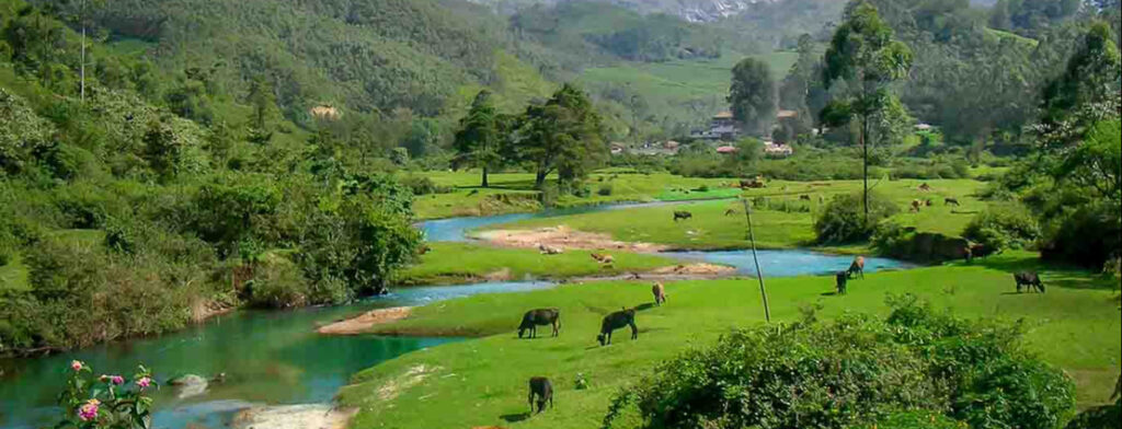 kerala s1
