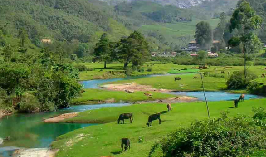 Kerala Tour Package for Senior Citizens