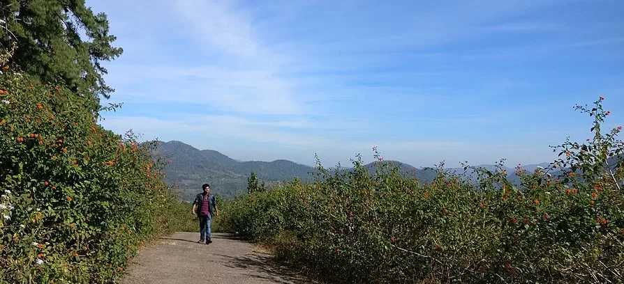Daringbadi