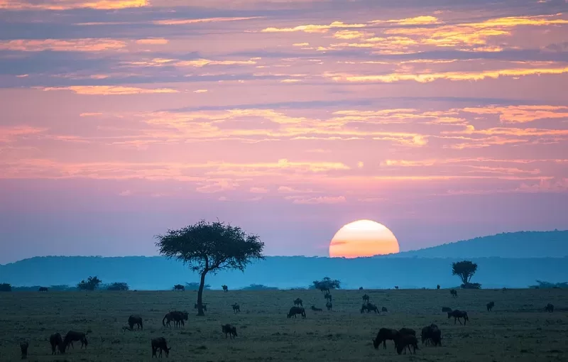 9 Days Kenya Trip Itinerary – The Ultimate African Safari & Beach Experience
