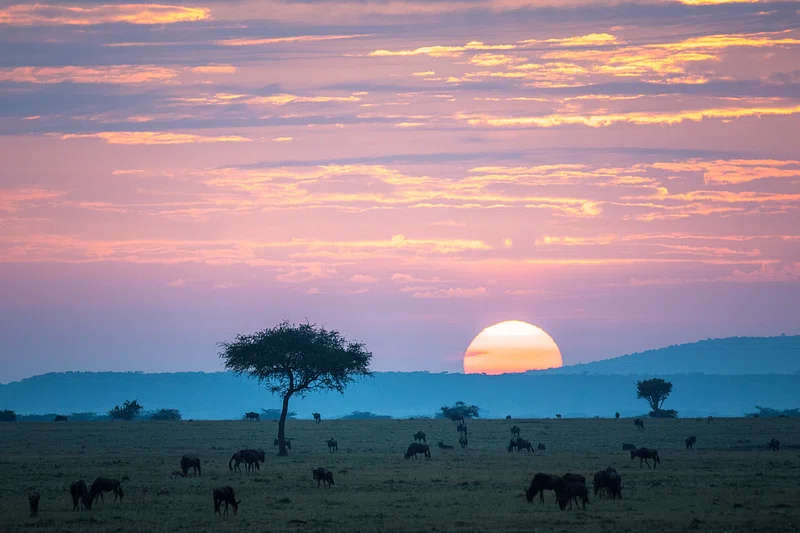 Kenya