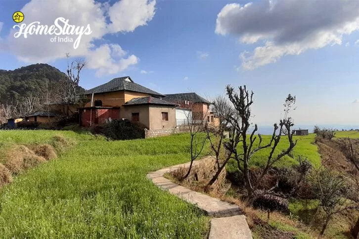 Bara Mangwa Orange Villa 2