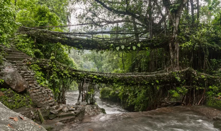 Top 15 Homestays in Meghalaya (Complete Travel Guide)