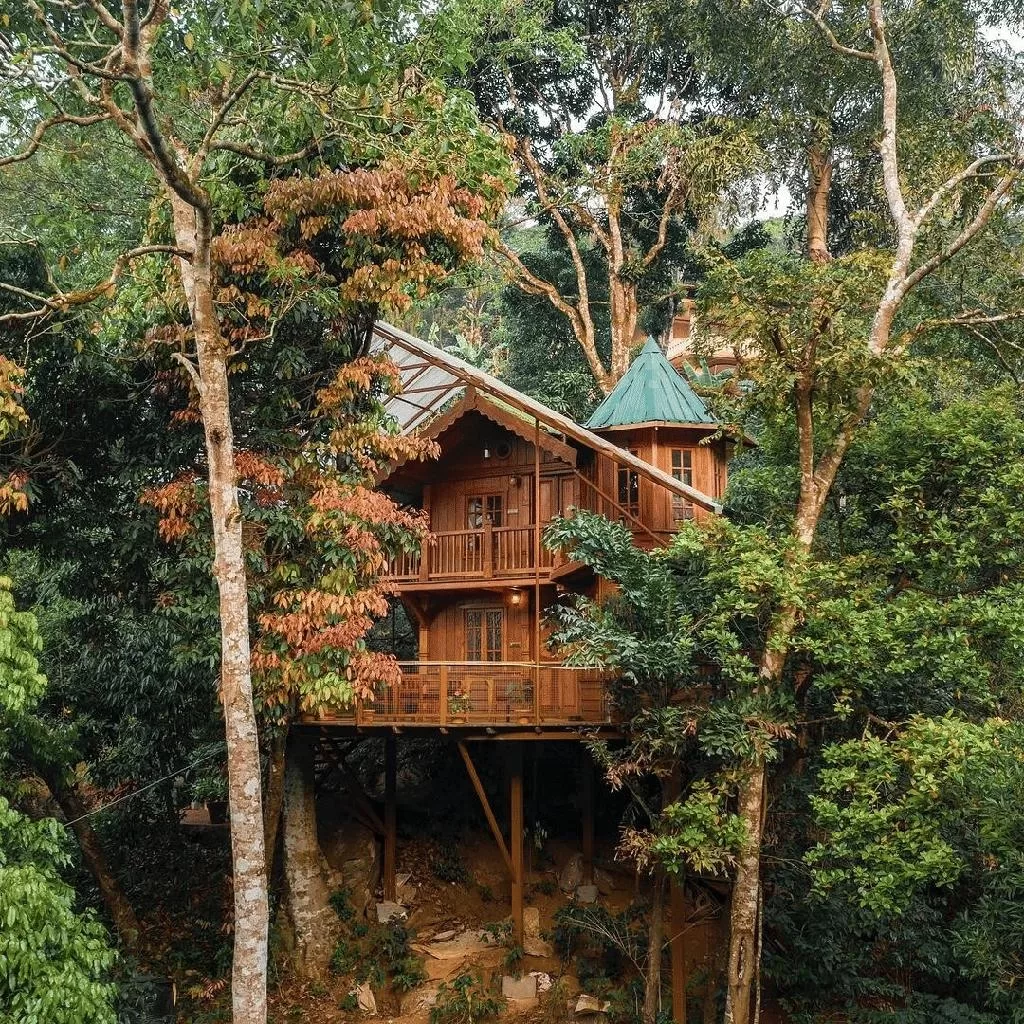 Nongriat Tree House 1