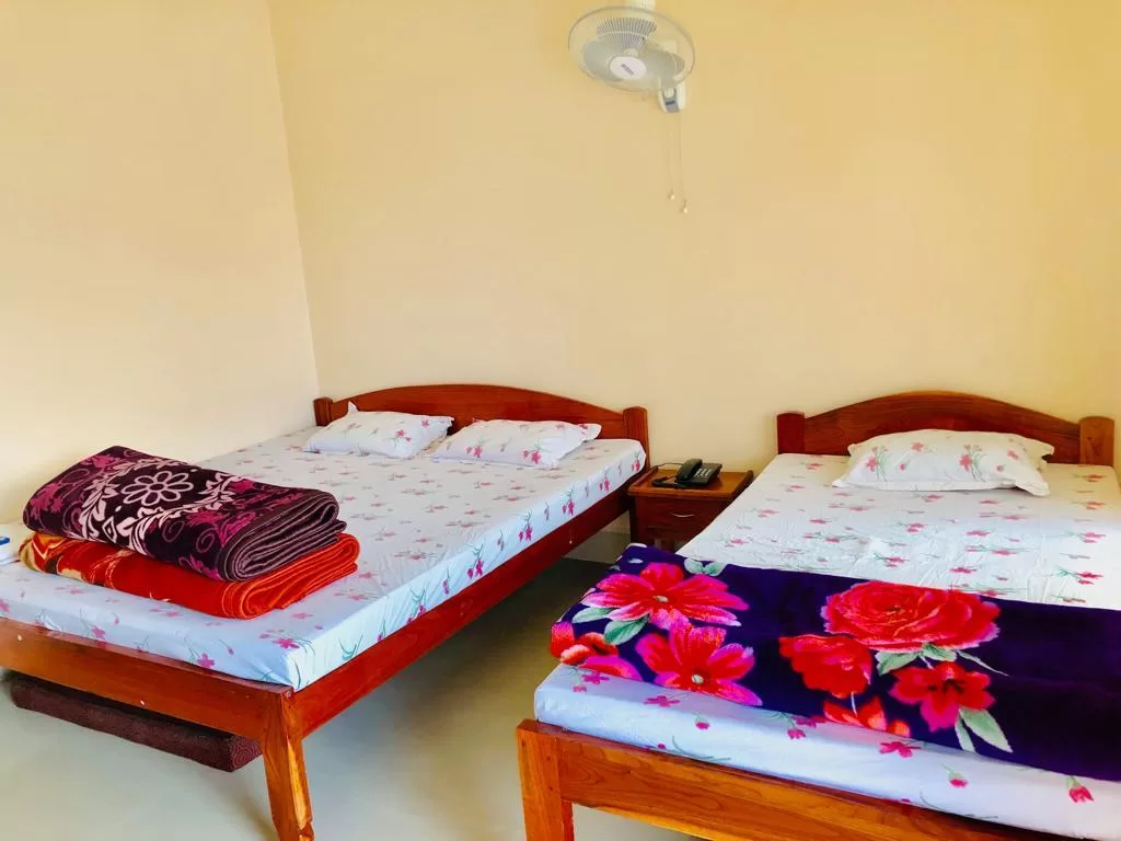 Pine Hill Homestay 2