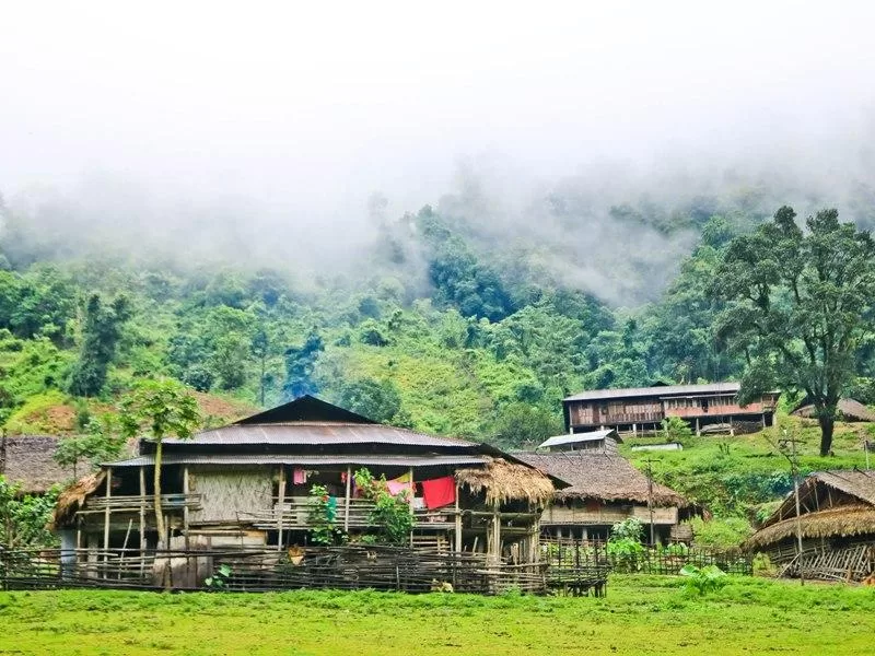 Siiro