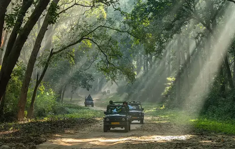 best-north-india-wildlife