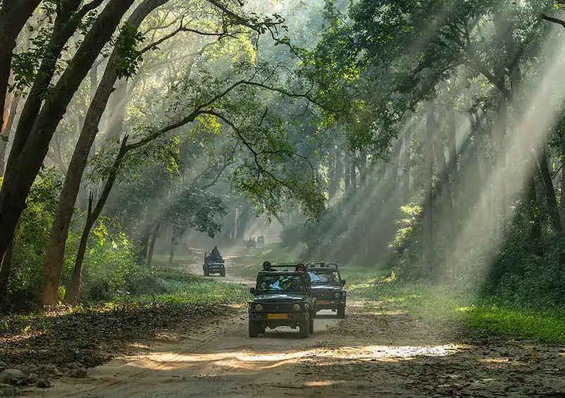 best-north-india-wildlife