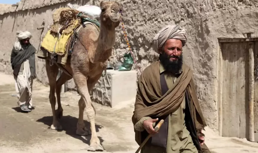 local-afghan-man-guides-his-camel