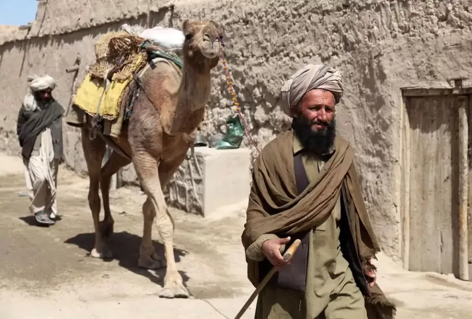 local-afghan-man-guides-his-camel