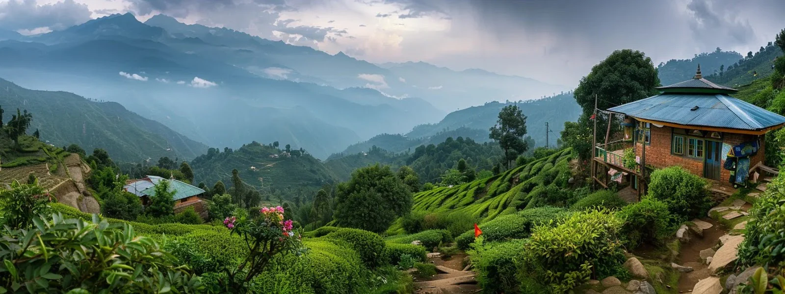 a-vibrant-tea-garden